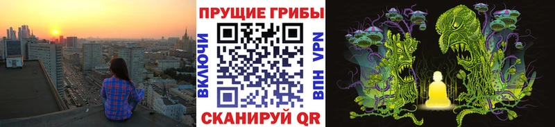 Псилоцибиновые грибы GOLDEN TEACHER Новодвинск