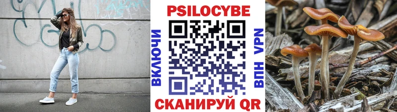 даркнет сайт  Новодвинск  Псилоцибиновые грибы Cubensis 
