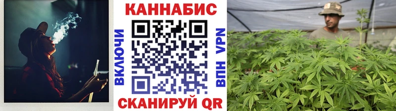 закладки  Новодвинск  Шишки марихуана марихуана 